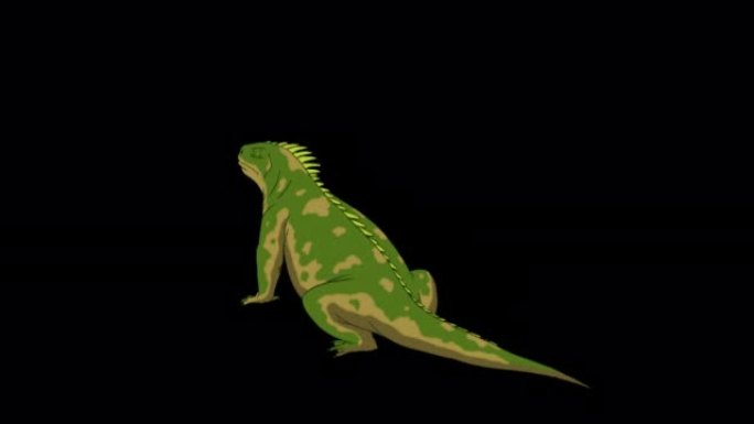 绿色鬣蜥后视图阿尔法哑光