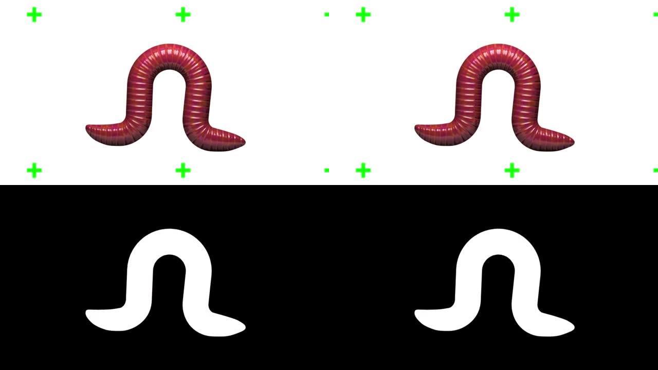 白色蠕虫，循环3D动画
