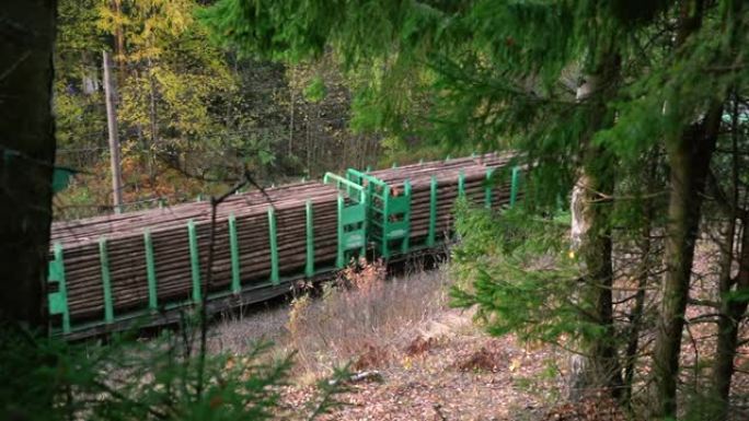 在秋季spba上，带木制负载的火车穿过惊人的绿色森林