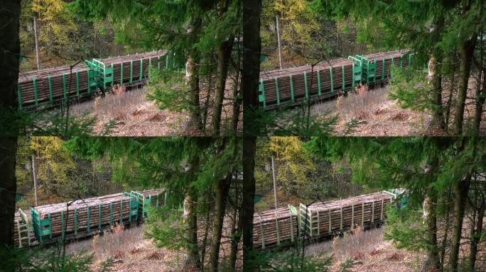 在秋季spba上，带木制负载的火车穿过惊人的绿色森林