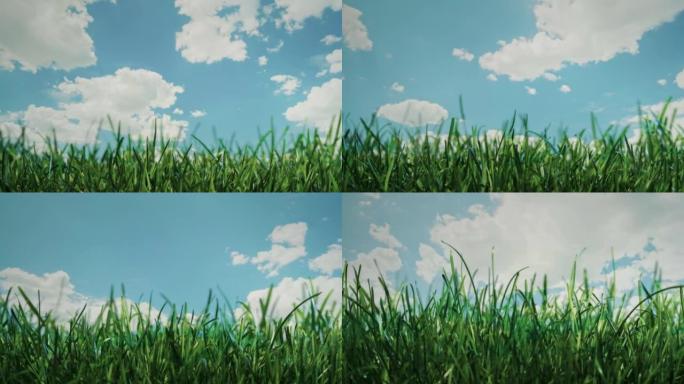 草生长在快速移动的云的背景下。延时视频