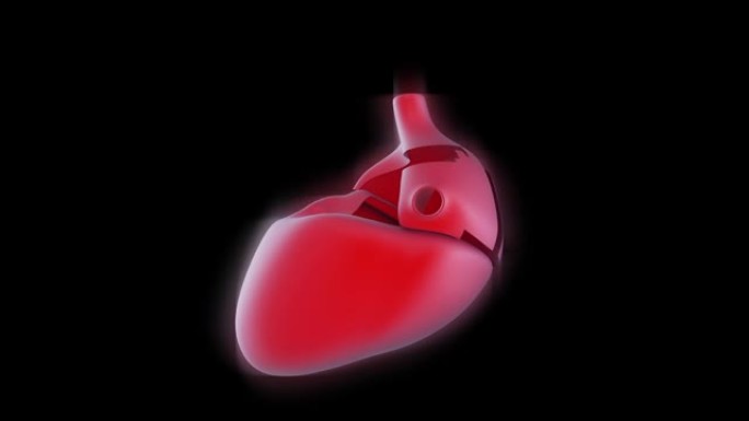 人体心脏医学器官移植打印模拟