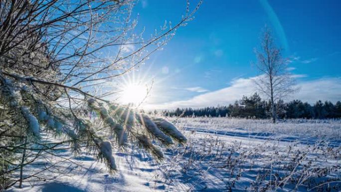 相机沿着覆盖着雪和白霜的冬季草地运动，阳光明媚的冬日，美丽的冬季景观，超长，延时。4k视频