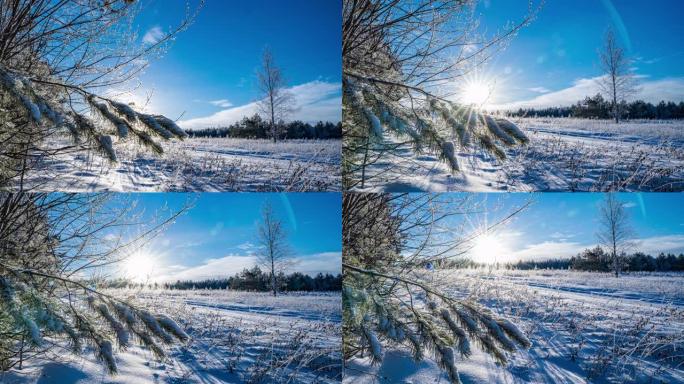 相机沿着覆盖着雪和白霜的冬季草地运动，阳光明媚的冬日，美丽的冬季景观，超长，延时。4k视频