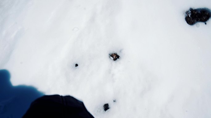 【4K】雪地行走雪地脚印