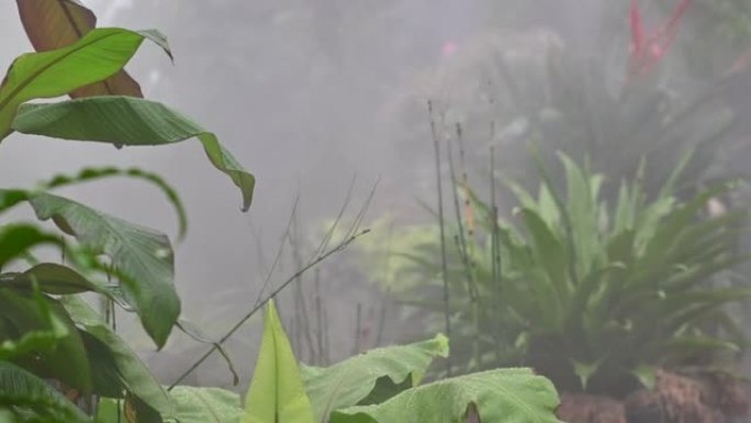 温室自动灌溉系统，用于制造水分和湿度