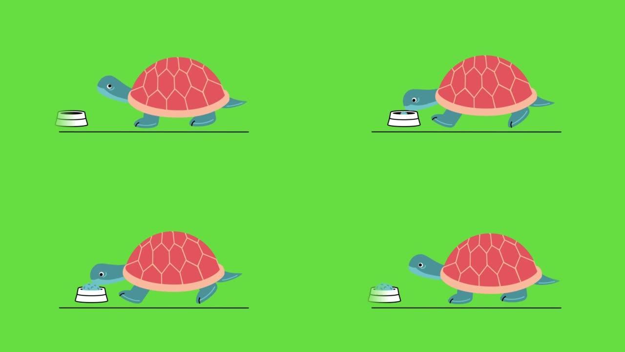 绿色背景上的卡通乌龟4k视频。