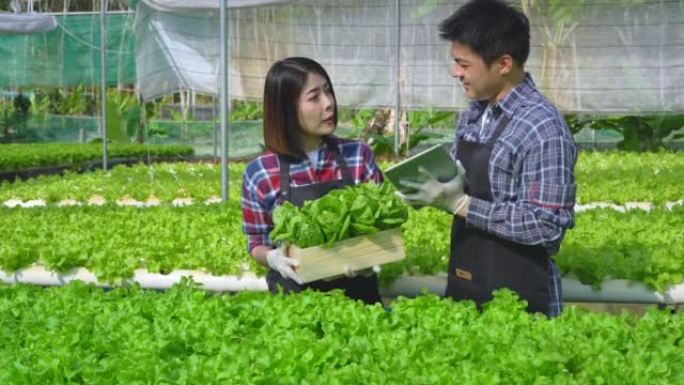 亚洲夫妇农民通过使用数字平板电脑在农业农场和水果产品的小型企业中收集数据，在温室中生长的水培农场上检