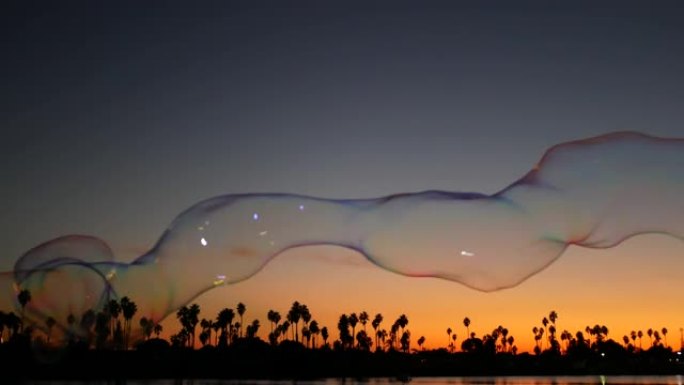 棕榈树剪影，日落海洋海滩，肥皂泡，美国加利福尼亚海岸。