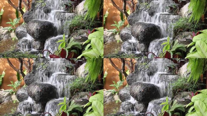 家庭花园中装饰的鱼塘和瀑布