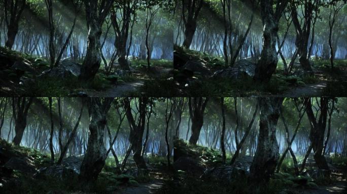 魔法之光中的魔法森林