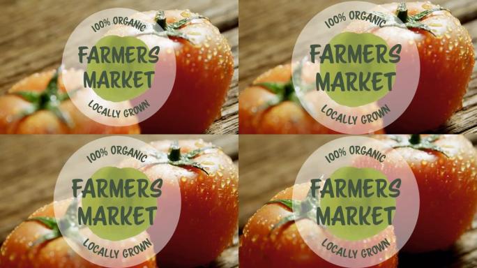 新鲜西红柿上的农贸市场文字动画