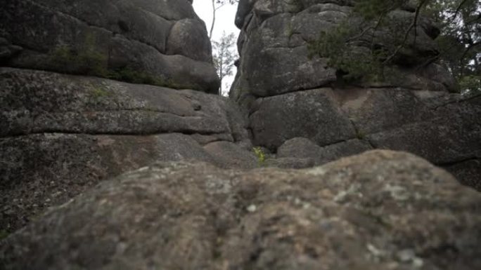 荒野景观森林与松树和青苔在巨石上的野生风景。有树木、树根和土壤的老碎石块。山地森林覆盖着苔藓岩石。