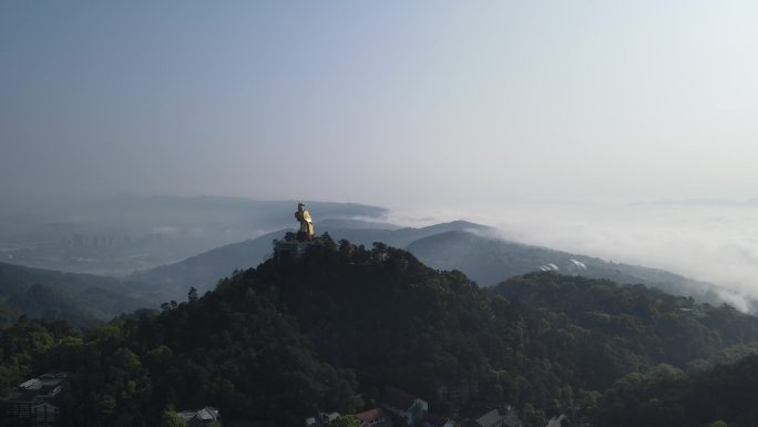 航拍重庆南山大金鹰