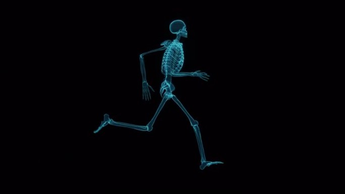 黑色背景上的快速运行骨骼，x射线模式下的人体骨骼运行