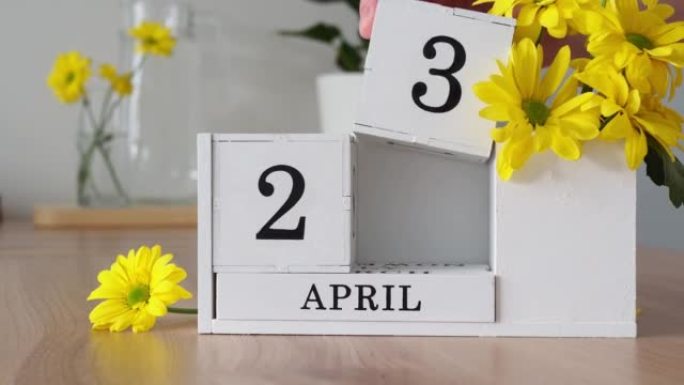 春季月份4月23日。女人的手翻过一个立方历法。黄色花朵旁边的桌子上的白色万年历。在一个月内更改日期。