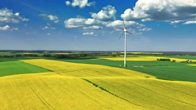 令人惊叹的黄色油菜田和乡村风力涡轮机。