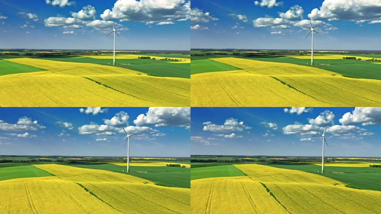 令人惊叹的黄色油菜田和乡村风力涡轮机。