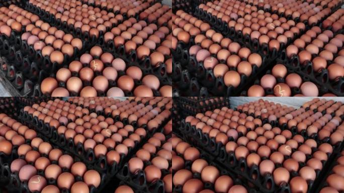 鸡蛋被堆放在托盘中，以便在市场上出售。