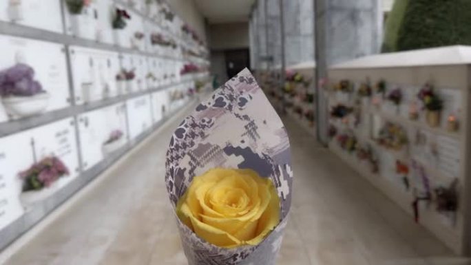 步行的观点在长长的墓地走廊上给死者带来鲜花，手里拿着黄玫瑰