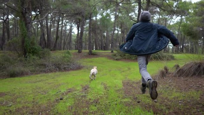慢动作少年男孩在树林里和他的金毛寻回犬一起玩耍和跑步。