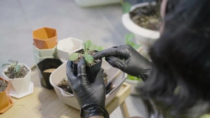 双手戴着黑色手套照顾她在花盆里的植物。