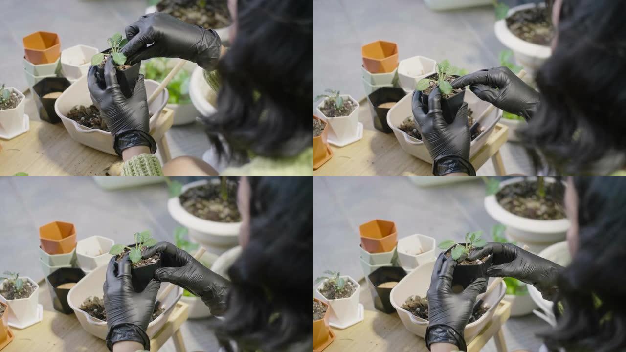 双手戴着黑色手套照顾她在花盆里的植物。
