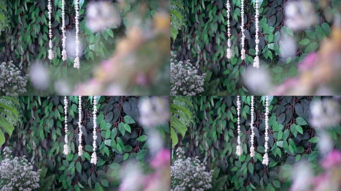 悬挂的茉莉花排列背景的绿叶，在墙上铺开