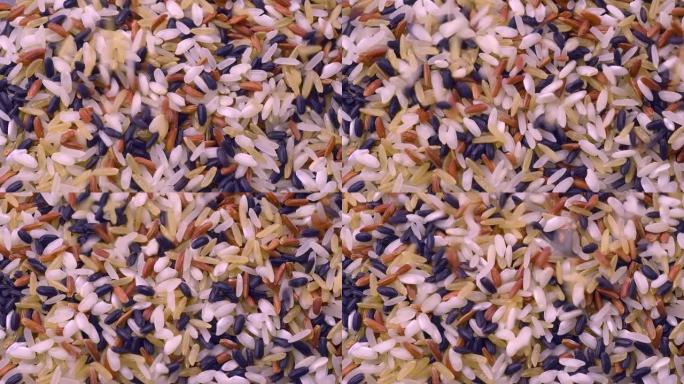 滴什锦生米。白色，carnaroli，黑色，红色和糙米