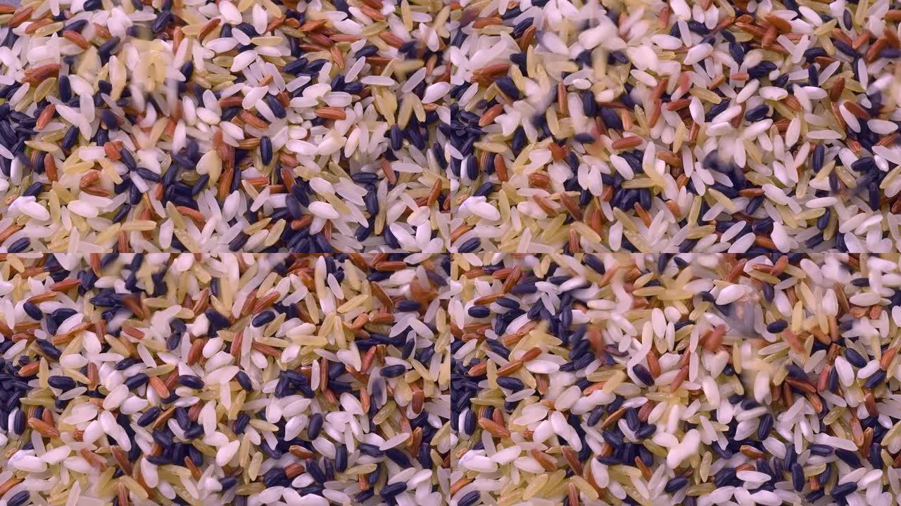 滴什锦生米。白色，carnaroli，黑色，红色和糙米