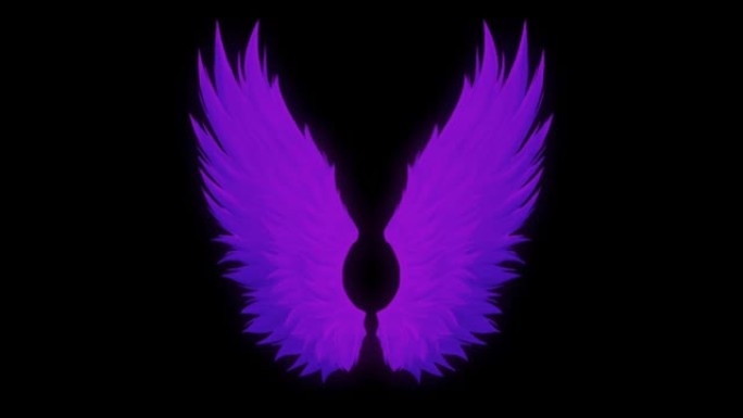 黑色背景上的动画紫色翅膀隔离。