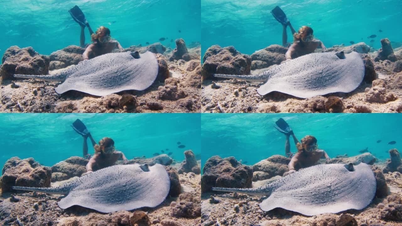 人在海里游泳和潜水。自由潜水者在马尔代夫的水下游泳，看着黄貂鱼躺在底部