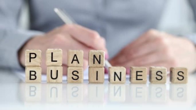 规划企业家的公司或商业机构的商业计划