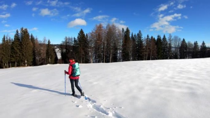 Seinerkreuz-在奥地利施蒂里亚州Seinerkreuz的阿尔卑斯山，穿着雪鞋在新鲜的雪中行