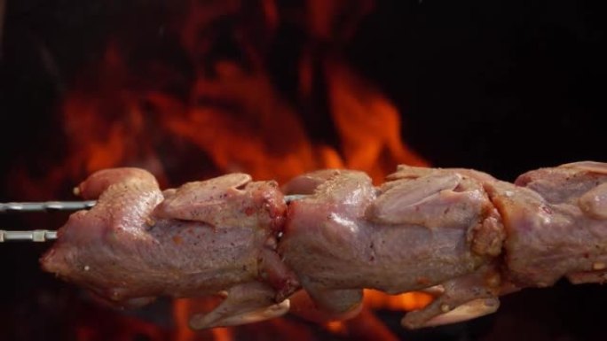 特写的生腌鹌鹑长串放在上面的明火