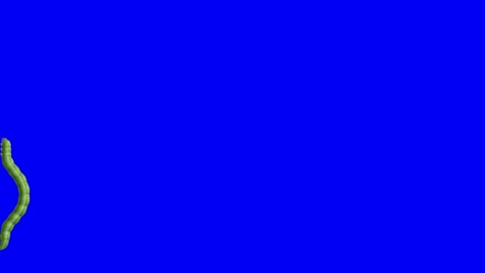 卡特彼勒在蓝色，3D动画