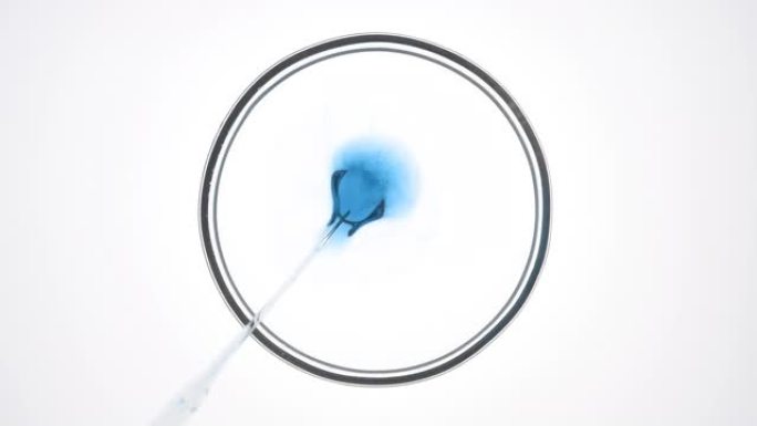 滴管将蓝色的tansy油注入培养皿中的透明液体中