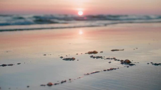 在日落背景的海滩上漏油，这是一个原油污染的海滩