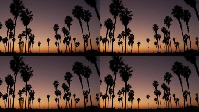 日落时，人们和棕榈树在海滩上的剪影，加利福尼亚海岸，美国。