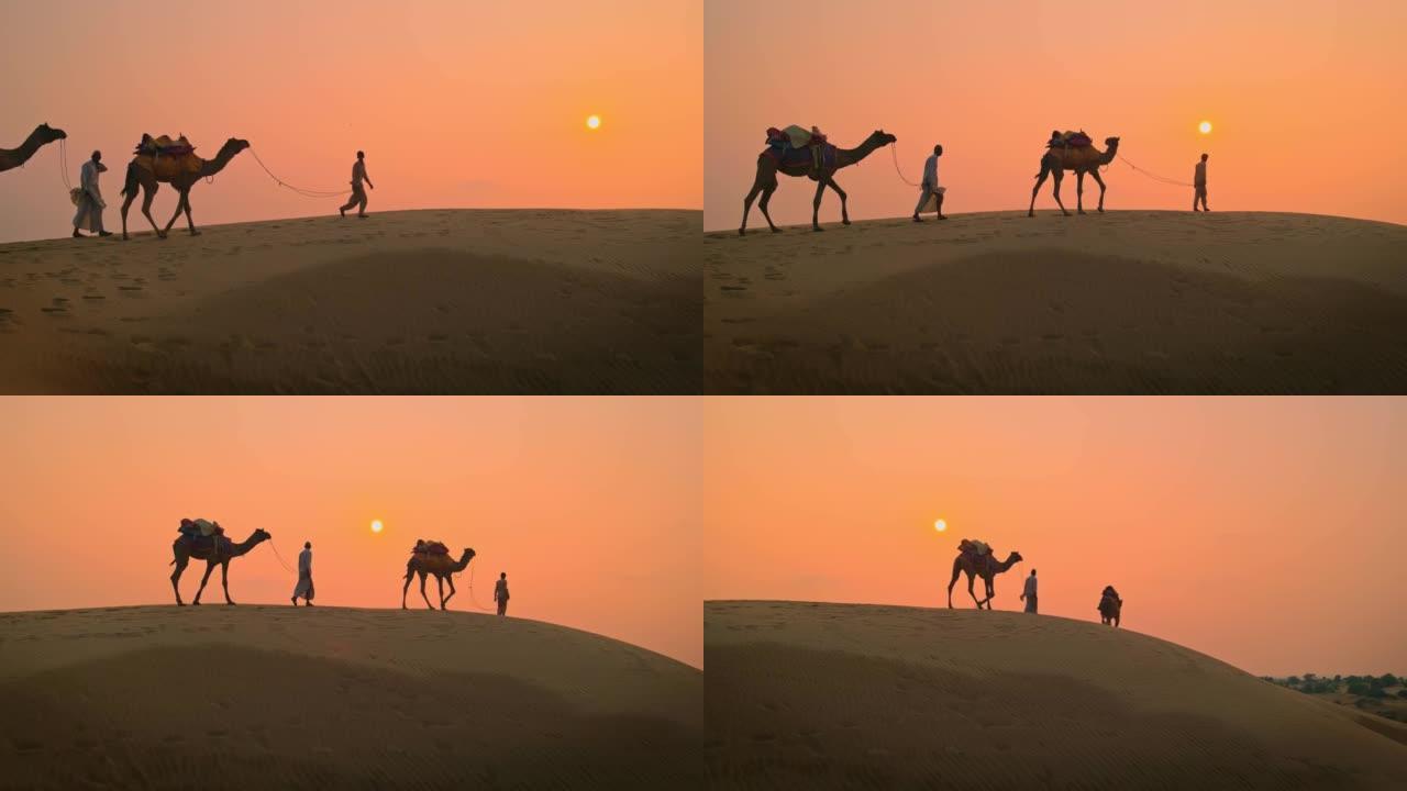 日落时，两名印度骑马车 (骆驼司机) 贝都因人，在塔尔沙漠的沙丘上有骆驼轮廓。拉贾斯坦邦的商队旅游旅