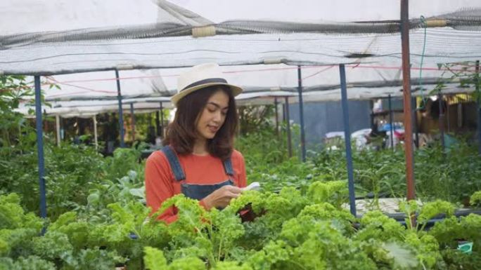 慢动作女农夫在有机农场使用数字平板电脑。温室优质新鲜有机物蔬菜。