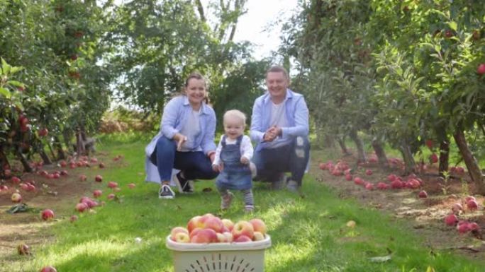 幸福的家庭父母和两个孩子女儿在大自然的乡村苹果树花园里聚在一起享受绿色的草地