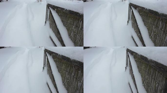 爱沙尼亚冬季从天而降的雪