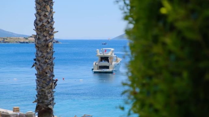 酒店套房的游艇和棕榈树，阳光明媚的日子没有云，夏天的时间，在土耳其度假