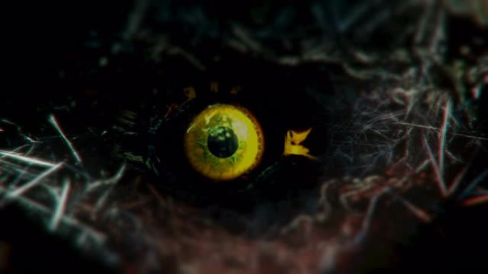 黑猫的火眼眼睛动画特写视频素材