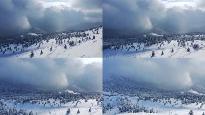 完美平移美丽的冬季山地景观。乌克兰，喀尔巴阡山脉。