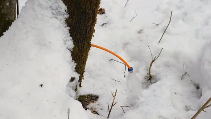 爱沙尼亚塑料瓶上的橙色软管