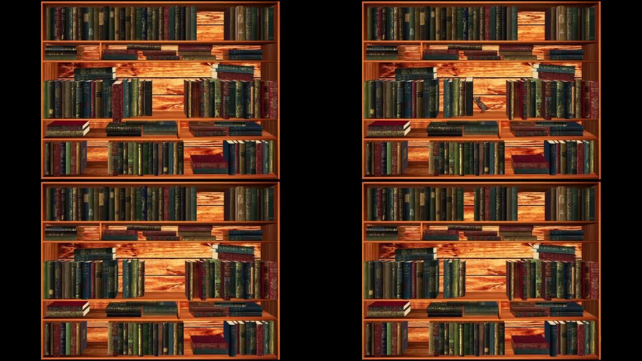 书籍和鼠标视频映射。