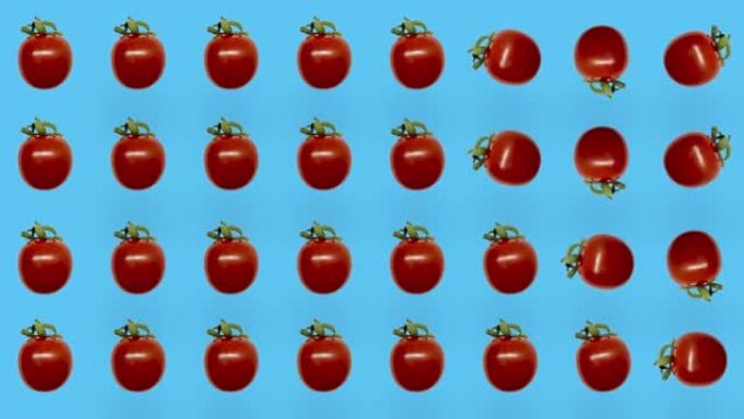 蓝色背景上新鲜红色西红柿的彩色图案。樱桃番茄无缝图案。逼真的动画。4k视频运动