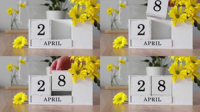 春季月份4月28日。女人的手翻过一个立方历法。黄色花朵旁边的桌子上的白色万年历。在一个月内更改日期。